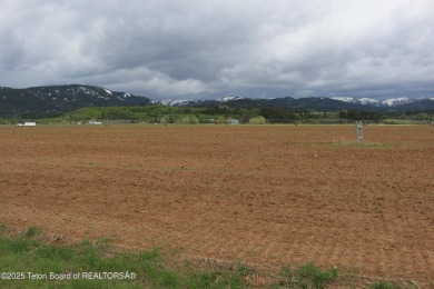 Lake Acreage For Sale in Driggs, Idaho