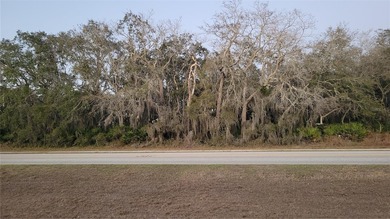 Lake Marion - Polk County Lot For Sale in Kissimmee Florida