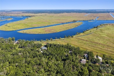(private lake, pond, coastal) Acreage For Sale in Richmond Hill Georgia