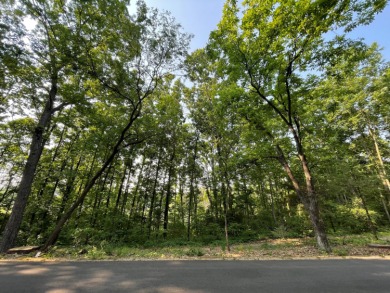 (private lake, pond, creek) Lot For Sale in Kalamazoo Michigan