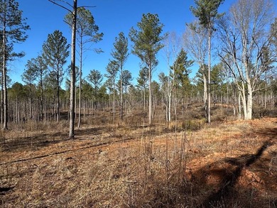 WILL DIVIDE INTO 2 TRACTS, 359 acres and 226 acres. Large wooded - photo 11