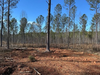WILL DIVIDE INTO 2 TRACTS, 359 acres and 226 acres. Large wooded - photo 12