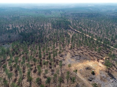 WILL DIVIDE INTO 2 TRACTS, 359 acres and 226 acres. Large wooded - photo 13