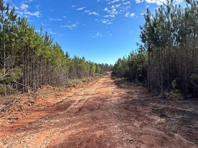 WILL DIVIDE INTO 2 TRACTS, 359 acres and 226 acres. Large wooded - photo 14