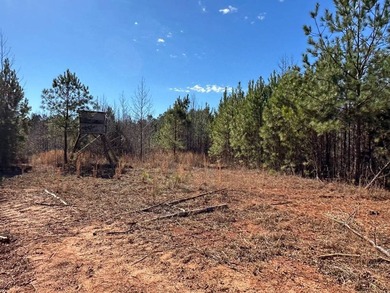 WILL DIVIDE INTO 2 TRACTS, 359 acres and 226 acres. Large wooded - photo 15