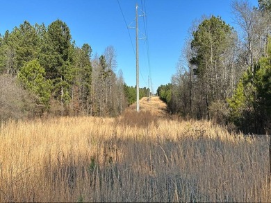 WILL DIVIDE INTO 2 TRACTS, 359 acres and 226 acres. Large wooded - photo 16