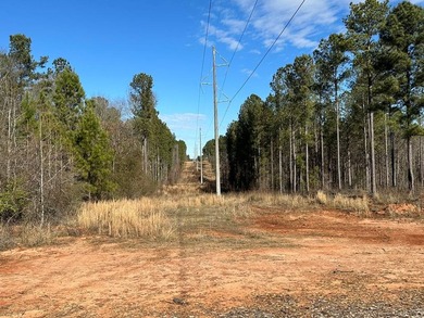 WILL DIVIDE INTO 2 TRACTS, 359 acres and 226 acres. Large wooded - photo 17