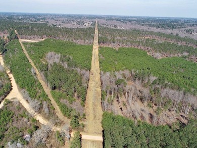 WILL DIVIDE INTO 2 TRACTS, 359 acres and 226 acres. Large wooded - photo 18