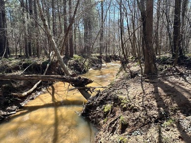 WILL DIVIDE INTO 2 TRACTS, 359 acres and 226 acres. Large wooded - photo 19