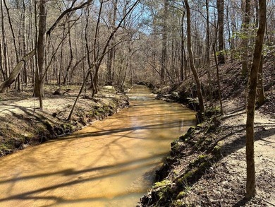 WILL DIVIDE INTO 2 TRACTS, 359 acres and 226 acres. Large wooded - photo 20