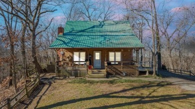 Lake Home For Sale in Salina, Oklahoma