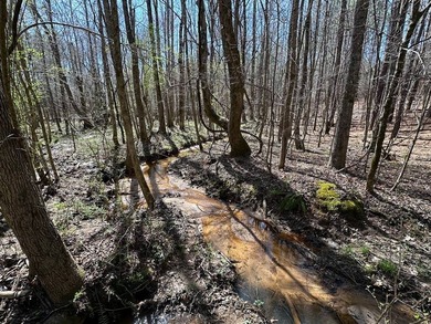 WILL DIVIDE INTO 2 TRACTS, 359 acres and 226 acres. Large wooded - photo 21