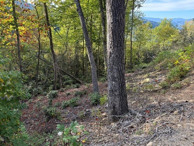 Here's your chance to own 5.84 wooded acres in the gated - photo 2