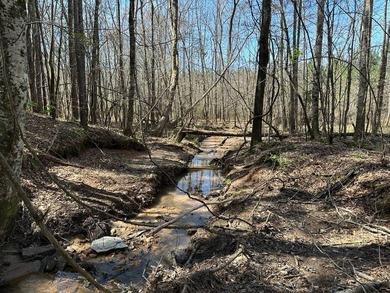 WILL DIVIDE INTO 2 TRACTS, 359 acres and 226 acres. Large wooded - photo 22