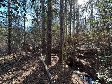 WILL DIVIDE INTO 2 TRACTS, 359 acres and 226 acres. Large wooded - photo 23
