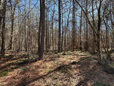 WILL DIVIDE INTO 2 TRACTS, 359 acres and 226 acres. Large wooded - photo 24