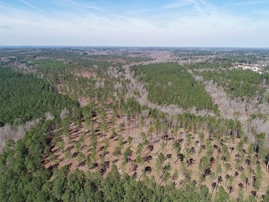 WILL DIVIDE INTO 2 TRACTS, 359 acres and 226 acres. Large wooded - photo 25
