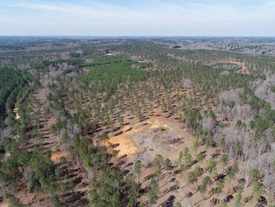 WILL DIVIDE INTO 2 TRACTS, 359 acres and 226 acres. Large wooded - photo 26