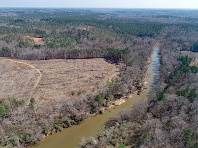 WILL DIVIDE INTO 2 TRACTS, 359 acres and 226 acres. Large wooded - photo 27