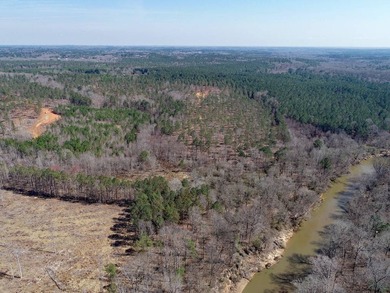 WILL DIVIDE INTO 2 TRACTS, 359 acres and 226 acres. Large wooded - photo 28
