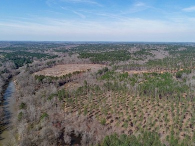 WILL DIVIDE INTO 2 TRACTS, 359 acres and 226 acres. Large wooded - photo 29