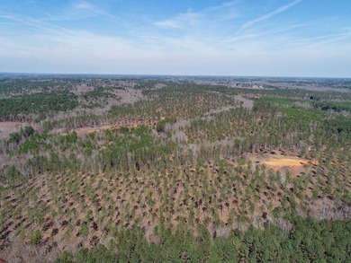 WILL DIVIDE INTO 2 TRACTS, 359 acres and 226 acres. Large wooded - photo 30