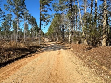 WILL DIVIDE INTO 2 TRACTS, 359 acres and 226 acres. Large wooded - photo 31