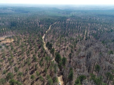 WILL DIVIDE INTO 2 TRACTS, 359 acres and 226 acres. Large wooded - photo 32