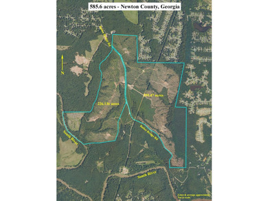 WILL DIVIDE INTO 2 TRACTS, 359 acres and 226 acres. Large wooded - photo 33