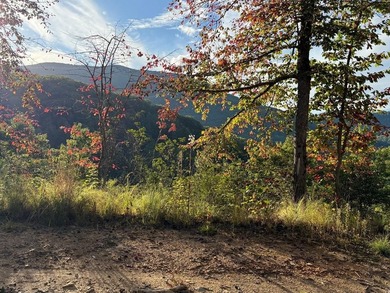 Tuckaseegee River Lot For Sale in Whittier North Carolina