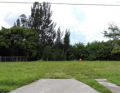 Port Charlotte Waterway Area Lot For Sale in Port Charlotte Florida