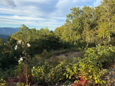 Tuckaseegee River Lot For Sale in Whittier North Carolina