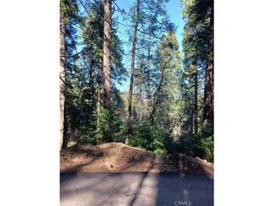 Lake Gregory Lot For Sale in Cedarpines Park California