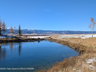 (private lake, pond, creek) Lot For Sale in Driggs Idaho