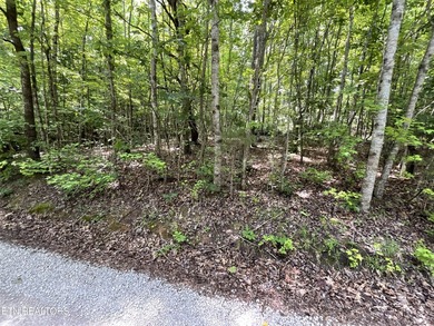 Two lots approximately 1 acre. Wooded with lake access to public - photo 1
