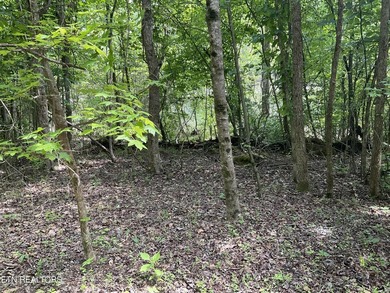 Two lots approximately 1 acre. Wooded with lake access to public - photo 3