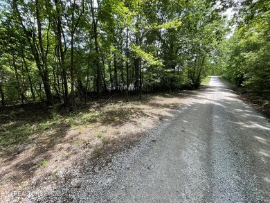 Two lots approximately 1 acre. Wooded with lake access to public - photo 5