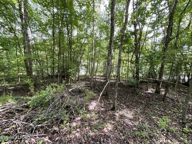 Two lots approximately 1 acre. Wooded with lake access to public - photo 6