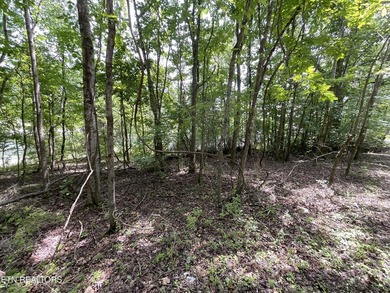 Two lots approximately 1 acre. Wooded with lake access to public - photo 7