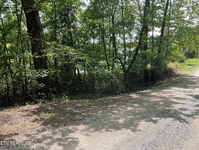 Two lots approximately 1 acre. Wooded with lake access to public - photo 9