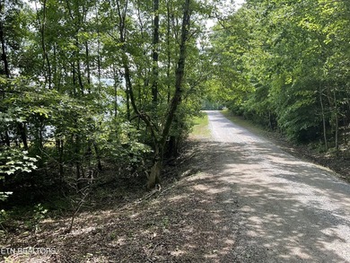 Two lots approximately 1 acre. Wooded with lake access to public - photo 10