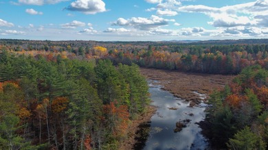 Lake Acreage For Sale in Montville, Maine
