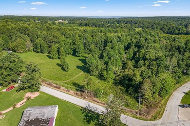 7 PLUS ACRES JUST OFF HWY 70 E, CROSSVILLE HIGHWAY. MANY - photo 4