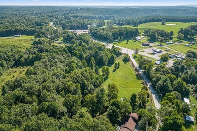 7 PLUS ACRES JUST OFF HWY 70 E, CROSSVILLE HIGHWAY. MANY - photo 10