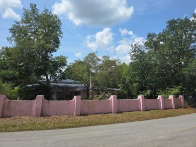 Lake Home Sale Pending in Ocklawaha, Florida