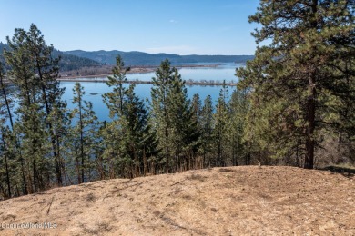 Lake Acreage For Sale in Harrison, Idaho