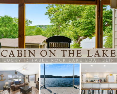 Cabin on The Lake - Lake Condo For Sale in Reeds Spring, Missouri