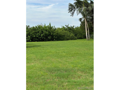 Nestled along the scenic Ozello Trail, this unique waterfront - photo 44