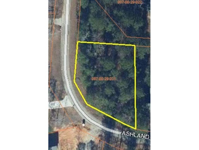 Strom Thurmond / Clarks Hill Lake Lot For Sale in Mccormick South Carolina