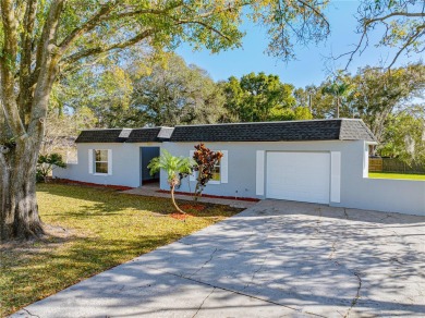 Scott Lake Home Sale Pending in Lakeland Florida